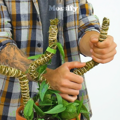 The Bendable Moss Pole™ 𝘛𝘏𝘐𝘕