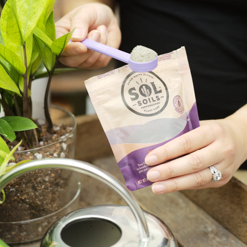 Sol Biotics Repot Recovery Repotting Shock Treatment