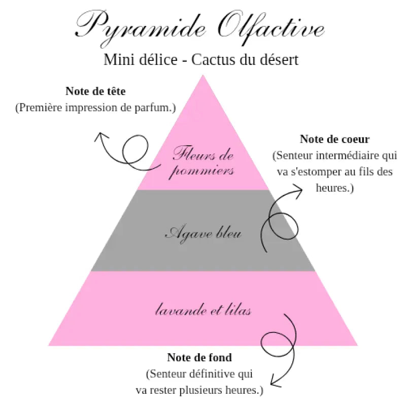 La bougie mini délice - Cactus du désert