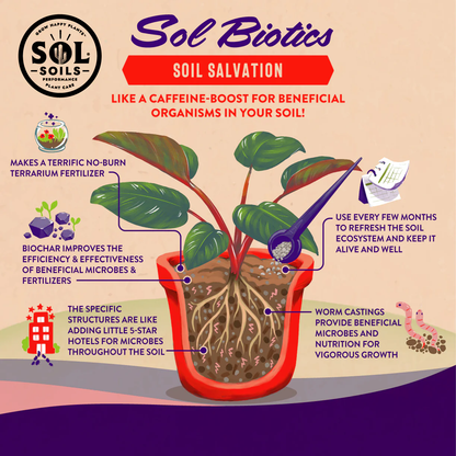 Sol Biotics Soil Salvation Soil Revitalizer with Worm Castings & Biochar