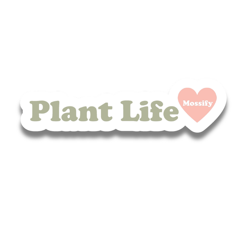 Mossify Stickers - Mossify