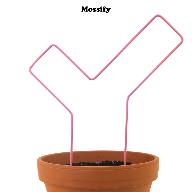 "Check Mark" Metal Trellis - Mossify