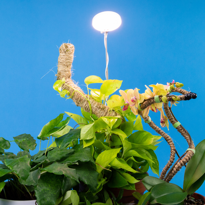 Lampe LED réglable pour plantes. 