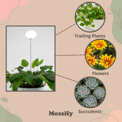 28" Adjustable LED Plant Light - Mossify