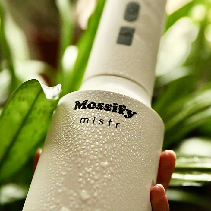 Le mistr™ original de Mossify 