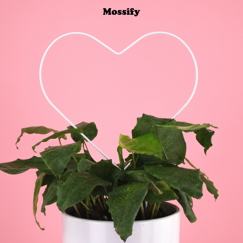 Heart "Give Love" Metal Trellis - Mossify