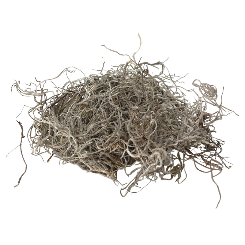 Premium Spanish Moss - Mossify