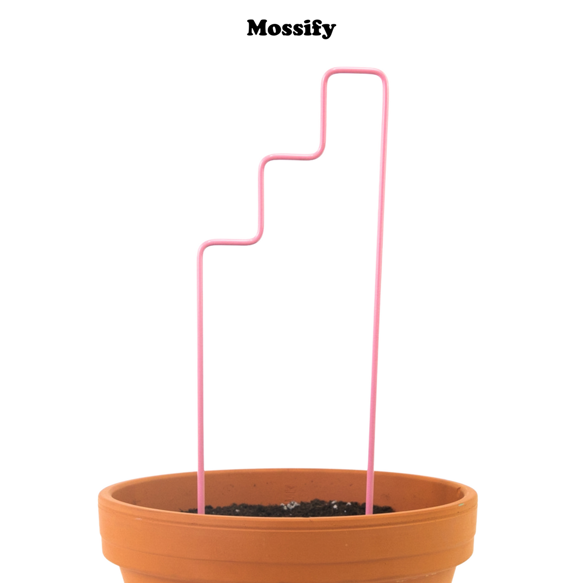 "Plant Stairs" Metal Trellis - Mossify