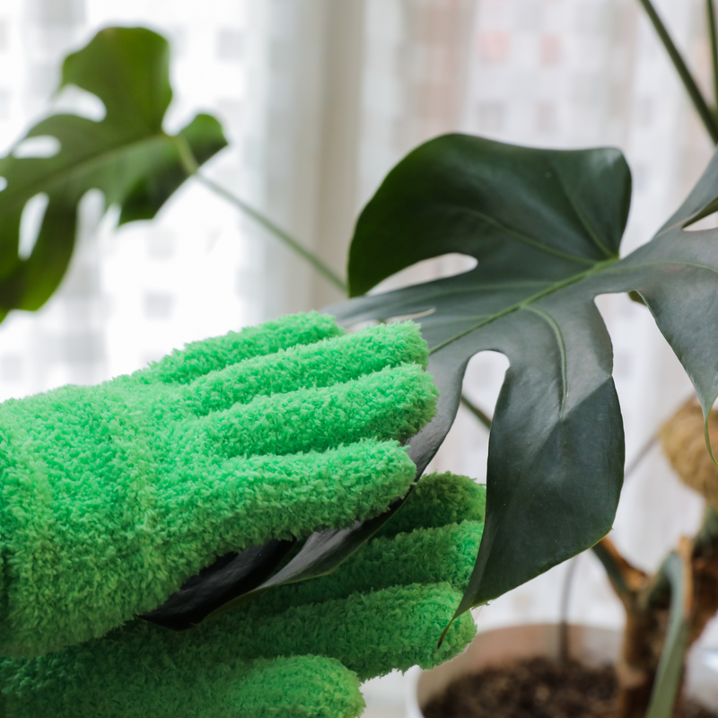 1 Pair Leaf Shining Microfiber Gloves - Mossify