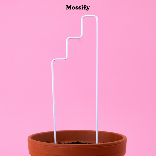 "Plant Stairs" Metal Trellis - Mossify