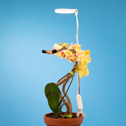 28" Adjustable LED Plant Light - Mossify