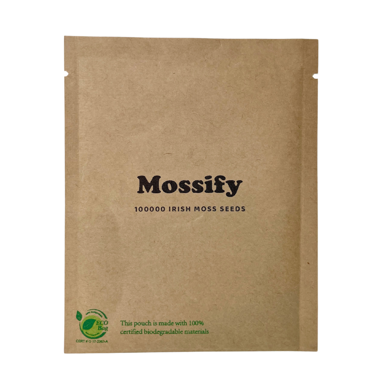 Premium Irish Moss Seeds - Sagina Subulata Seeds - Mossify