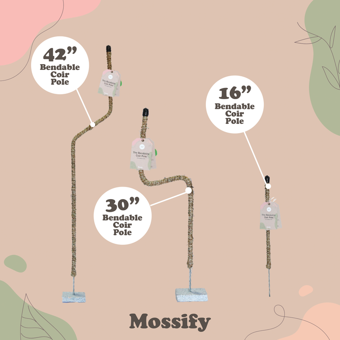 6 Count - Mossify Pole Lover Package Deal