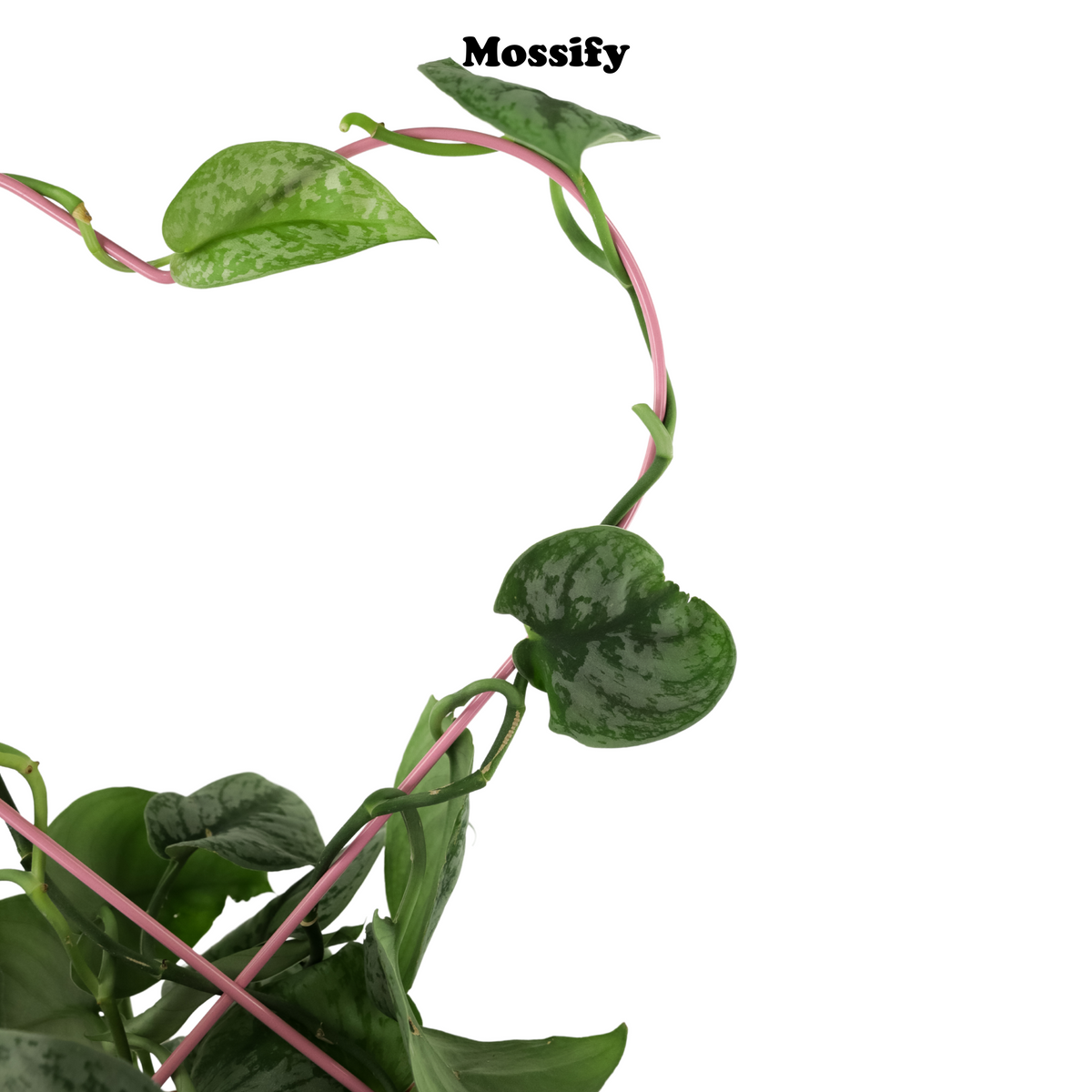 Heart "Give Love" Metal Trellis - Mossify
