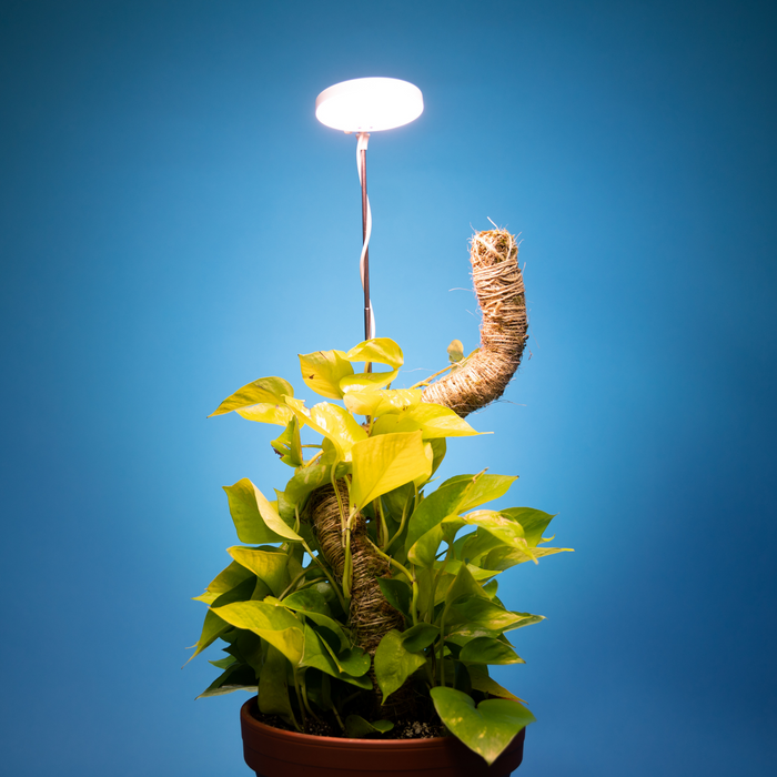 Lampe LED réglable pour plantes. 