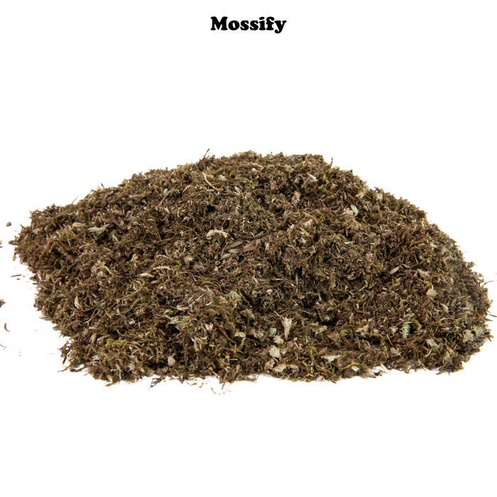 Value Pack - Growable Moss for the Sun