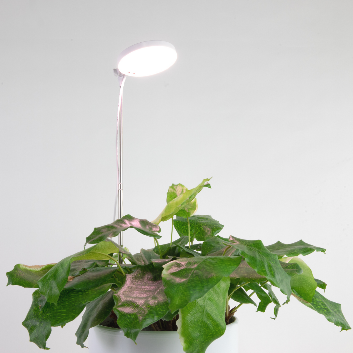 28" Adjustable LED Plant Light - Mossify