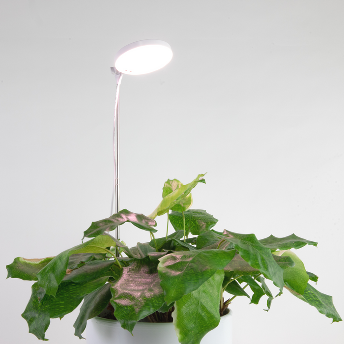 Lampe LED réglable pour plantes. 