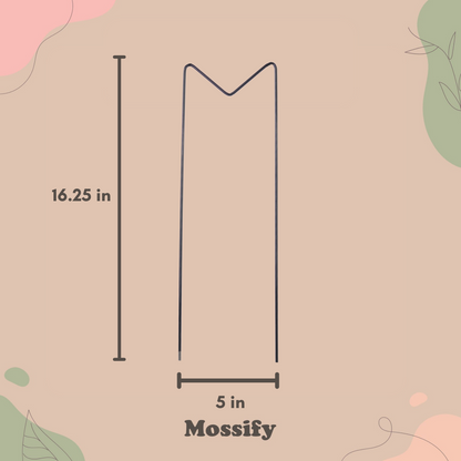 "M" Metal Trellis - Mossify
