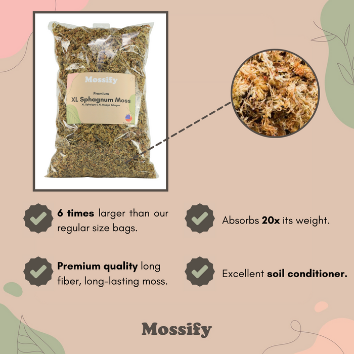 XL Premium Natural Sphagnum Moss