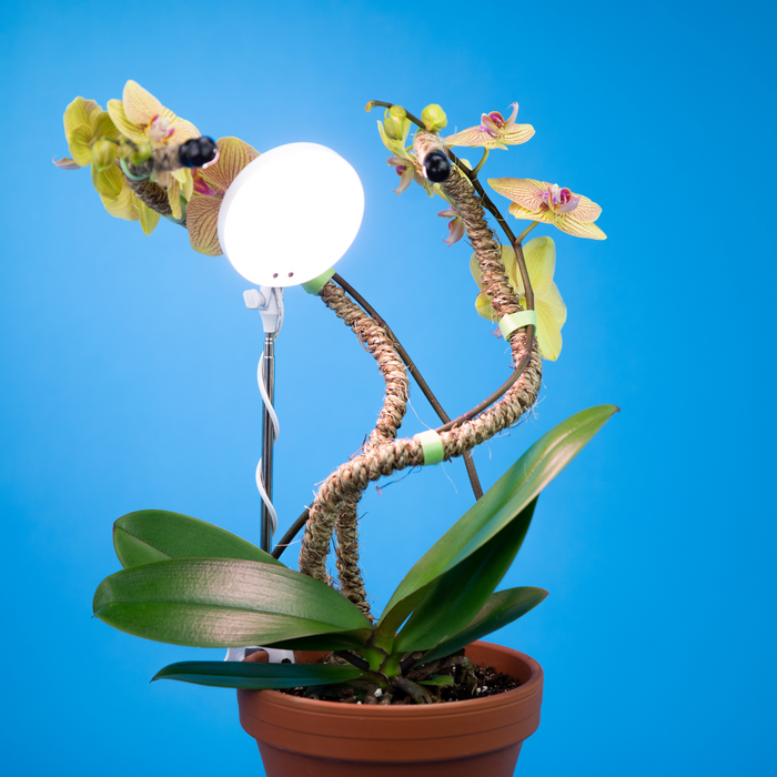 Lampe LED réglable pour plantes. 