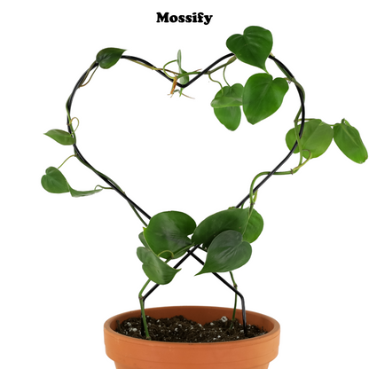 Heart "Give Love" Metal Trellis - Mossify