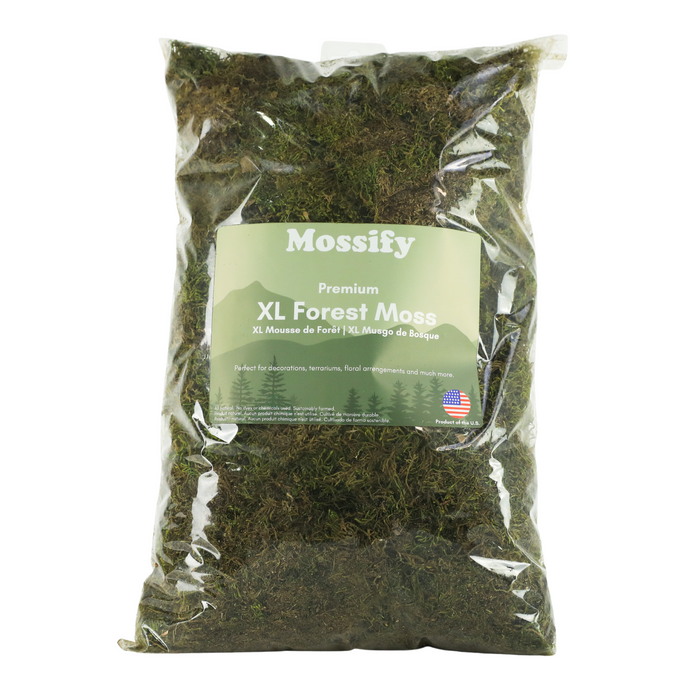 XL Premium Natural Forest Moss