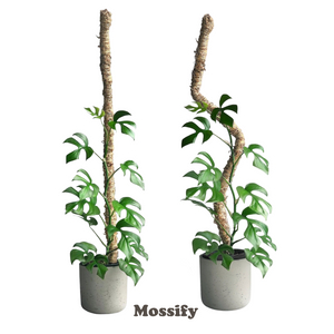 The Original Bendable Moss Pole™ - Best Seller (Pins Included) - Mossify