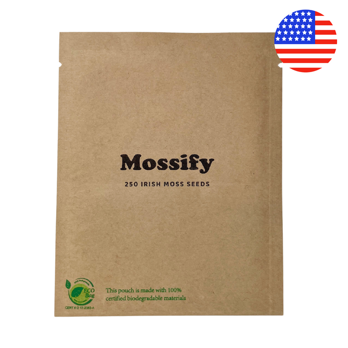 Premium Irish Moss Seed - Sagina Subulata Seeds