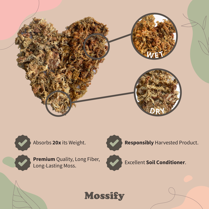 6 Pack - Premium Natural Sphagnum Moss Mix