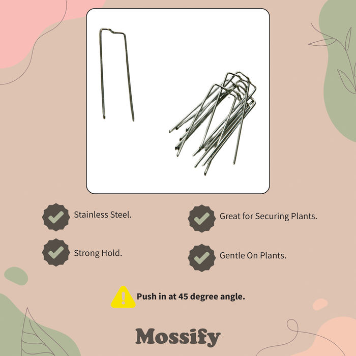 Floral Pins - Greening Pins - Moss Pole Pins — Mossify