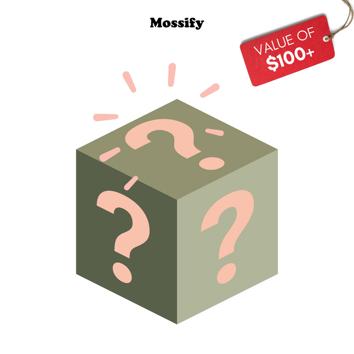 Mossify Surprise Box Surprise Box
