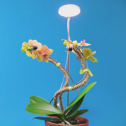 28" Adjustable LED Plant Light