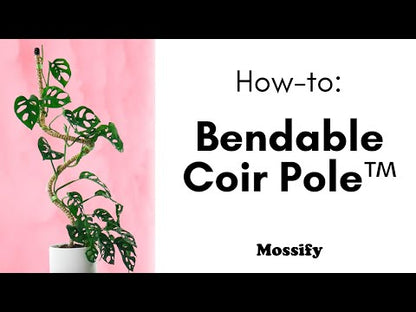 The Original Bendable Coir Pole™ - Best-seller (ruban inclus) 
