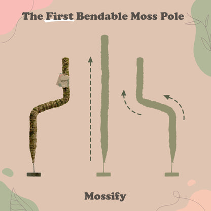 The Original Bendable Moss Pole™ - Best Seller (Pins Included) - Mossify