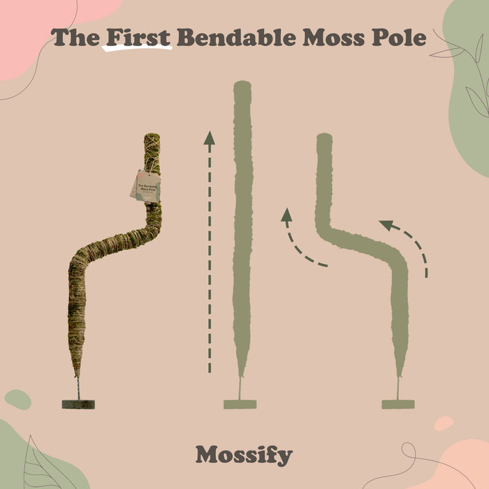 The Original Bendable Moss Pole™ - Best-seller (épingles incluses) 