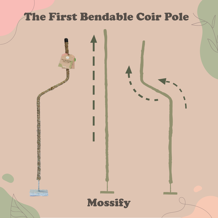 The Original Bendable Coir Pole™ - Best Seller (Tape Included)