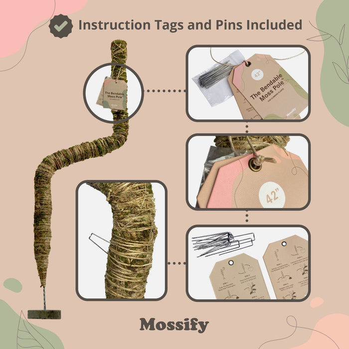 The Original Bendable Moss Pole™ - Best Seller (Pins Included)