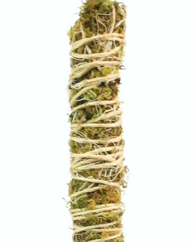 Bendable Moss Pole™ THIN